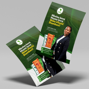A6-flyer-3